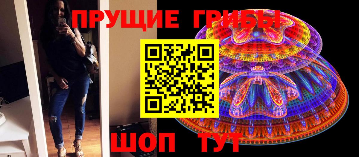 даркнет сайт  Вход с VPN  Североморск  Галлюциногенные грибы Cubensis 