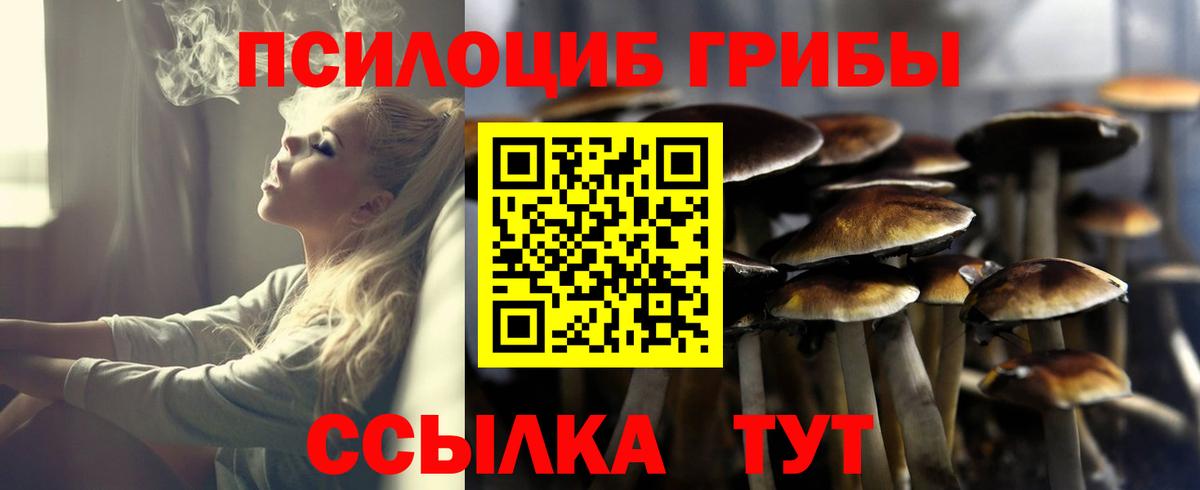 Псилоцибиновые грибы прущие грибы Североморск
